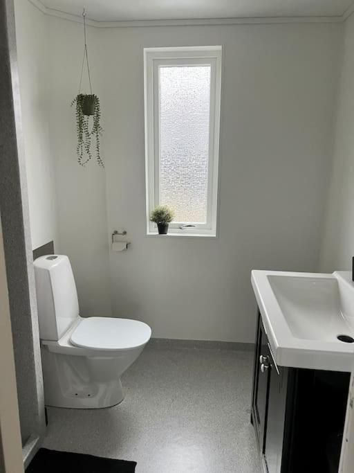 Apartment In The Center Of Torshavn, Free Parking. Esterno foto